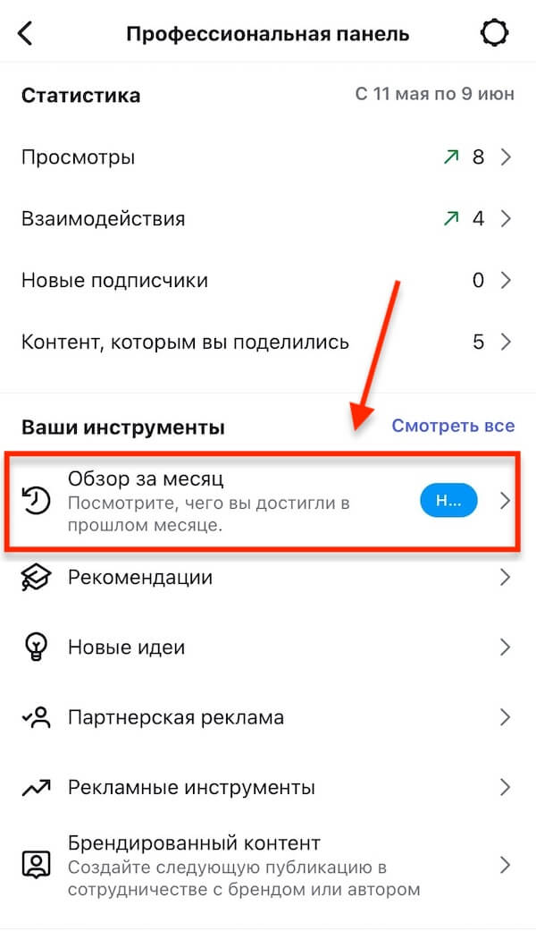 Как посмотреть «Обзор за месяц» в Инстаграм*