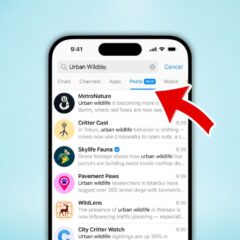 Поиск постов в Telegram — как работает и как им пользоваться