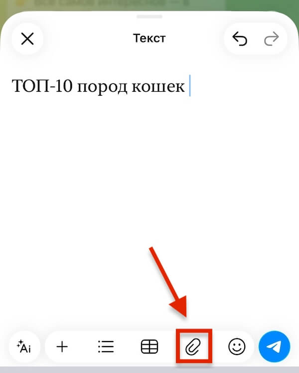 Добавьте текст и фотографии