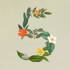 Нейросеть Claude Sonnet 5 — что умеет и как работает