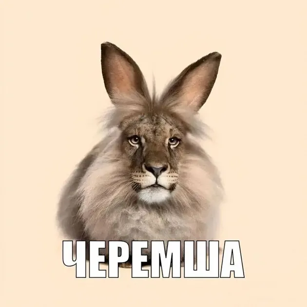 Что значит мем «Черемша» и в чем его суть?