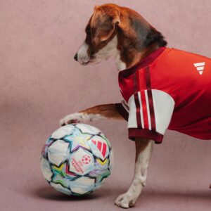 Что вошло в adidas Clubs Pet Collection