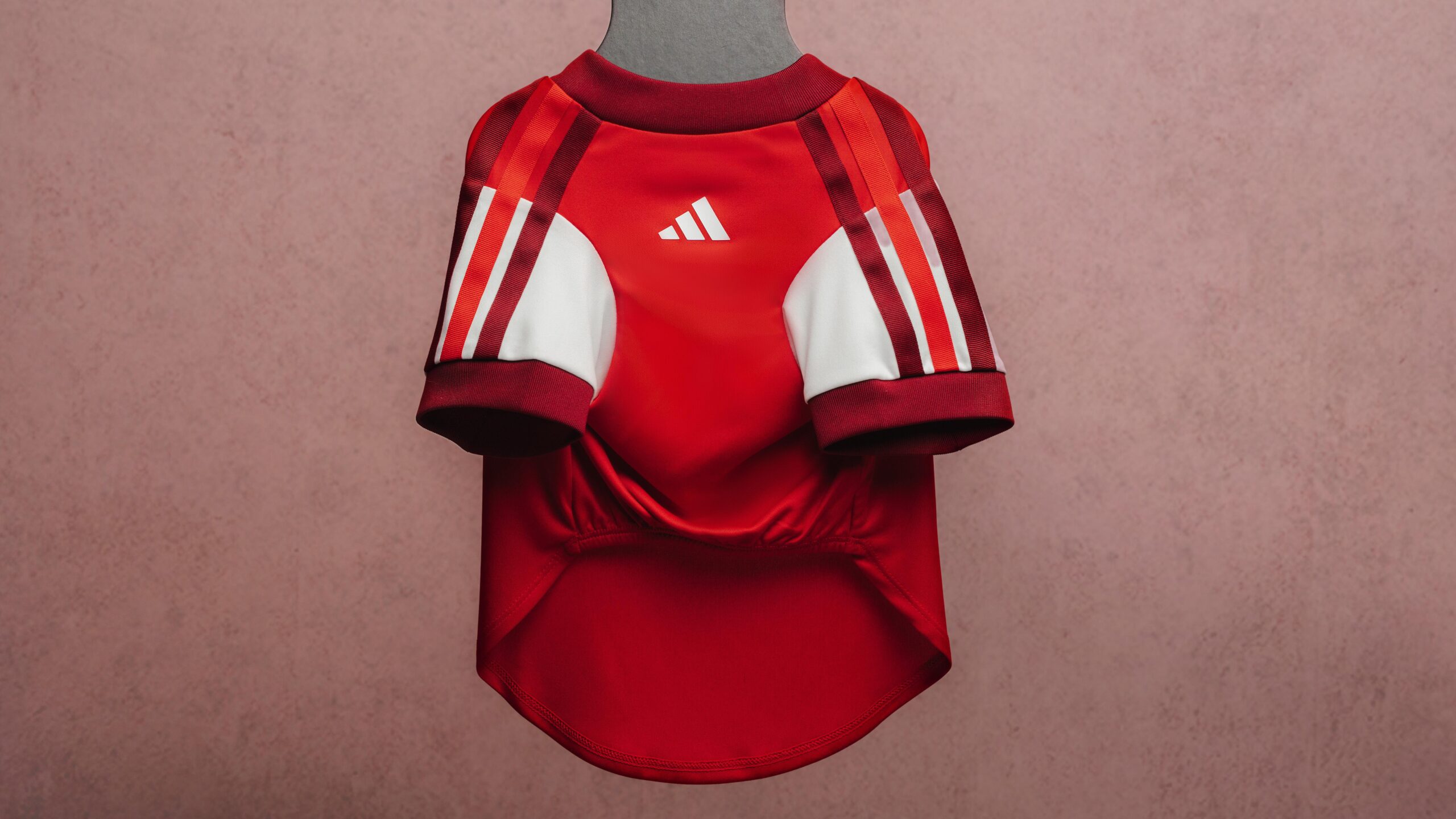 Что вошло в adidas Clubs Pet Collection
