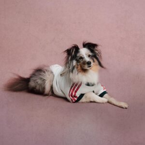Что вошло в adidas Clubs Pet Collection