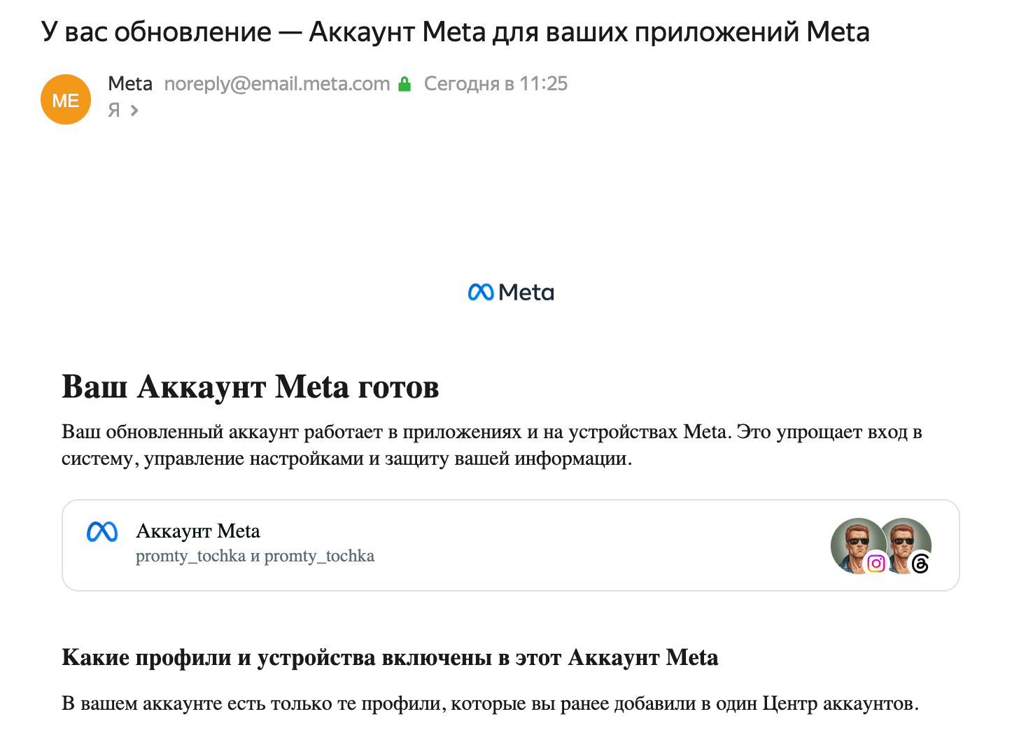 Meta* Account — что это такое и как работает