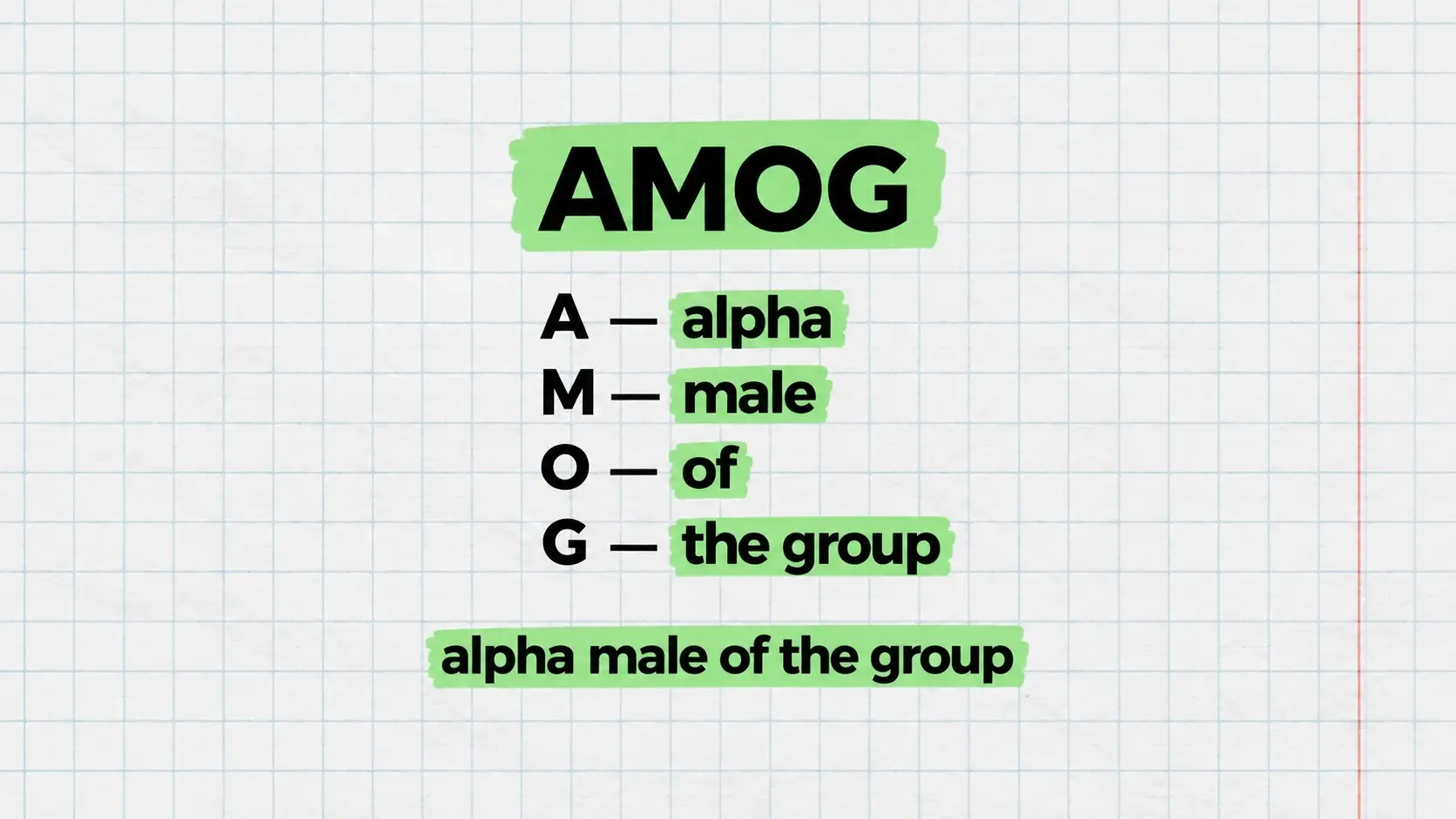AMOG, alpha male of the group, то есть «альфа-самец группы»